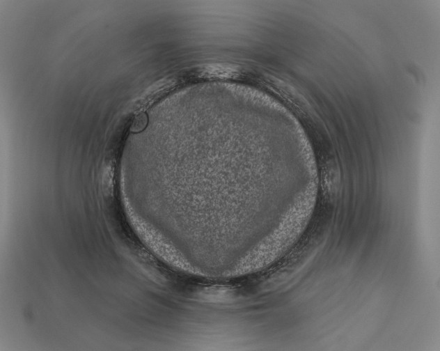 X0000113320551200910051127