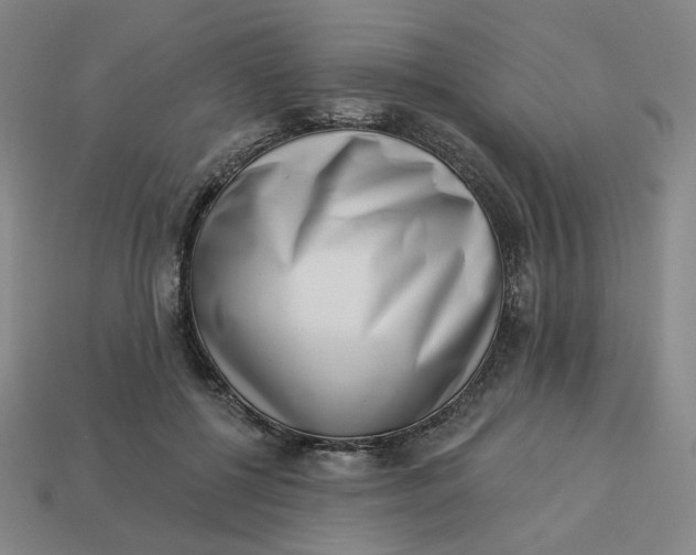 X0000113320552200910051127