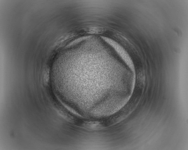 X0000113320554200910051127