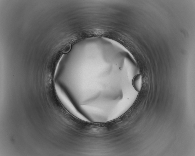 X0000113320555200910051127