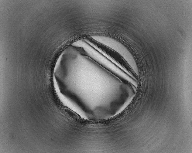 X0000113320556200910051127