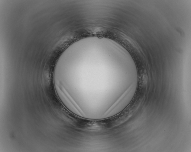 X0000113320558200910051127