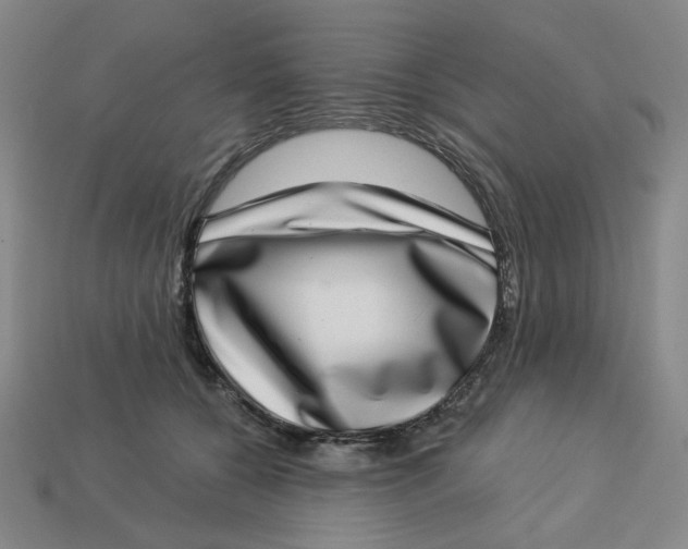 X0000113320560200910051127