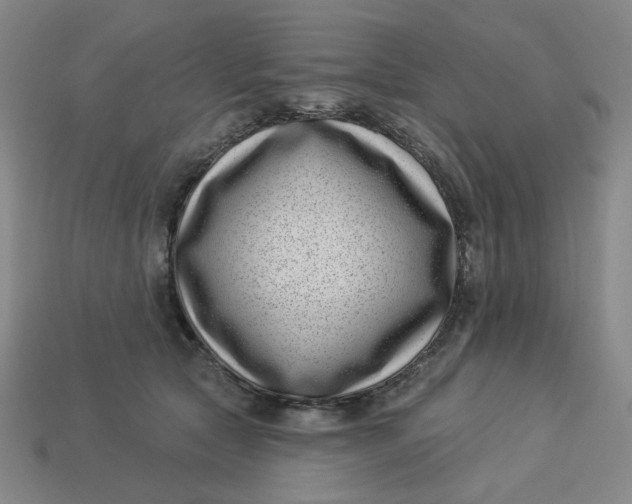 X0000113320561200910051127