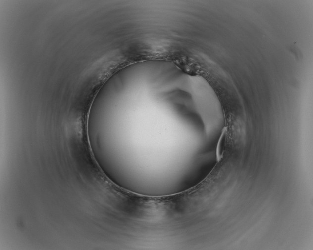 X0000113320562200910051127