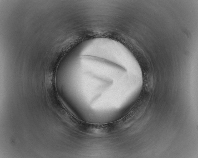 X0000113320563200910051127