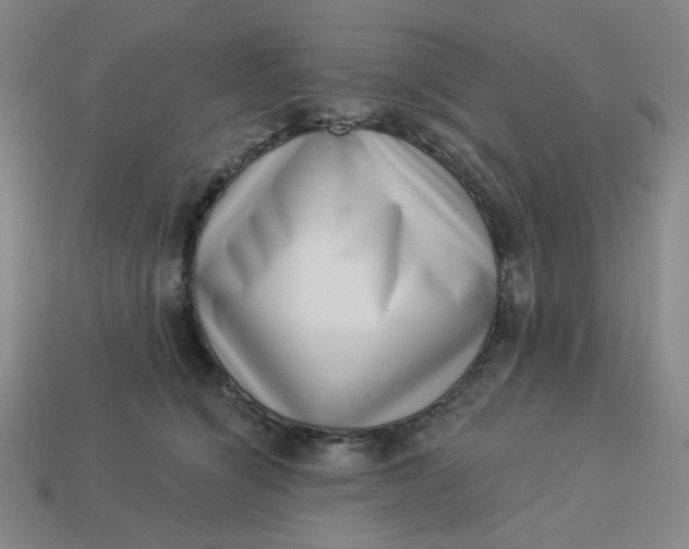 X0000113320564200910051127