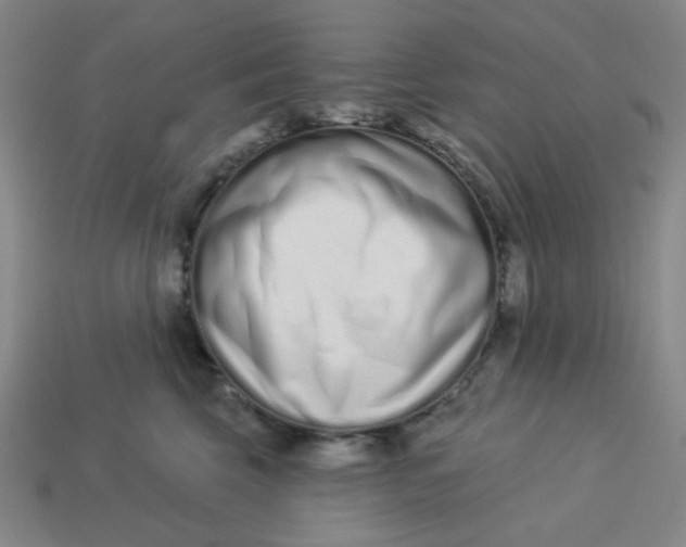 X0000113320569200910051127