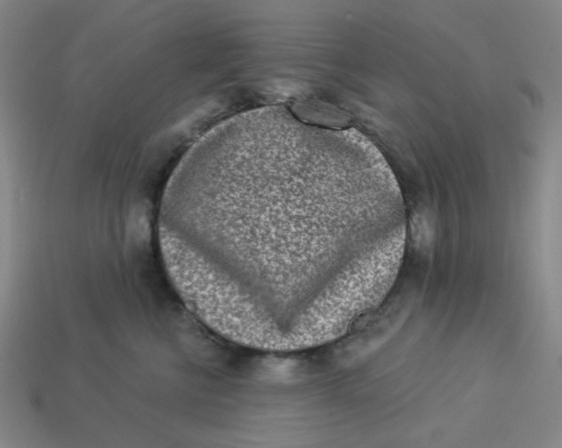 X0000113320570200910051127