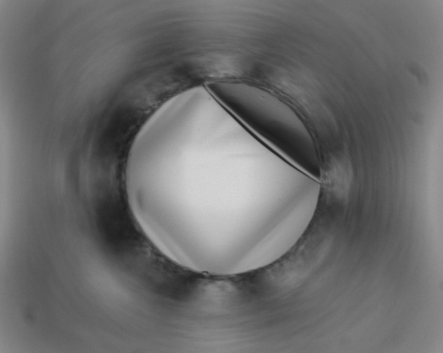 X0000113320572200910051128