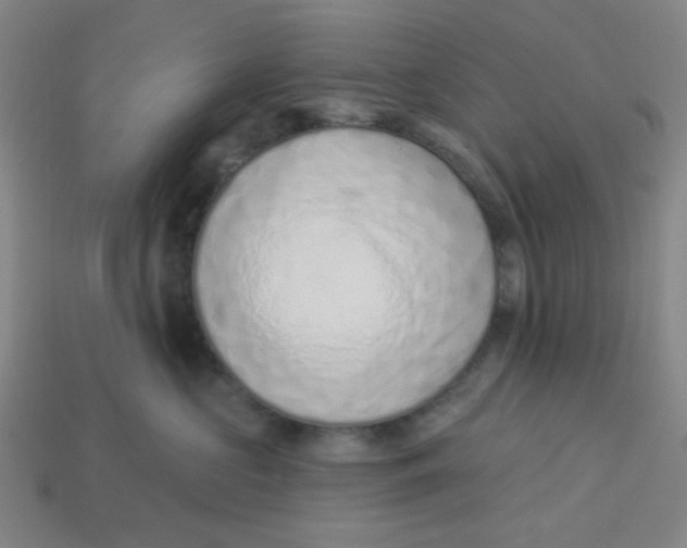 X0000113320573200910051128