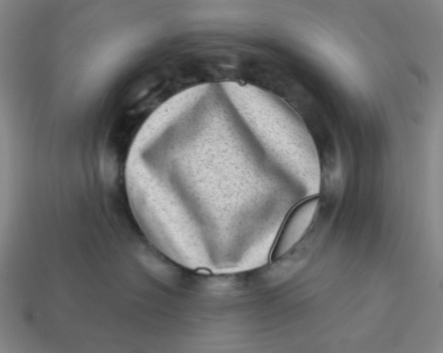 X0000113320574200910051128