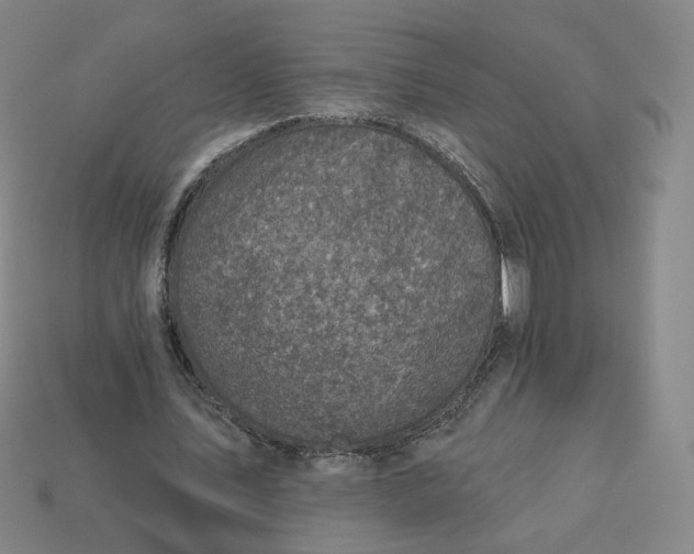 X0000113320579200910051127