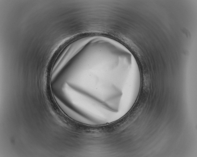 X0000113320580200910051127