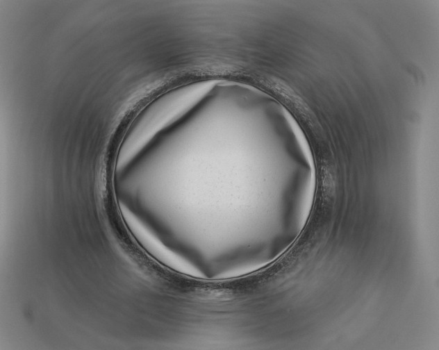 X0000113320582200910051127