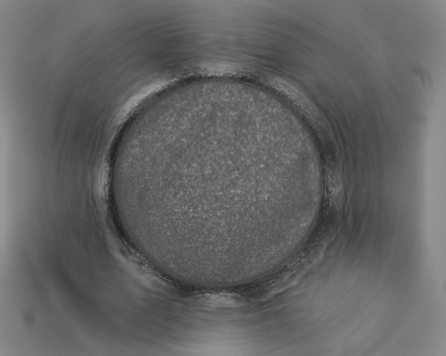 X0000113320583200910051127