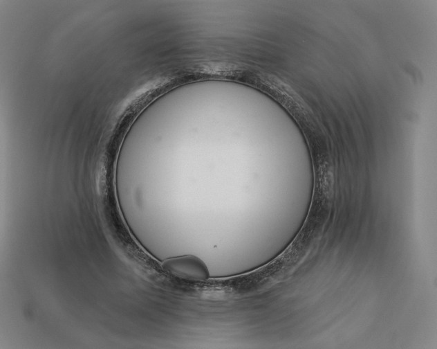 X0000113320587200910051127