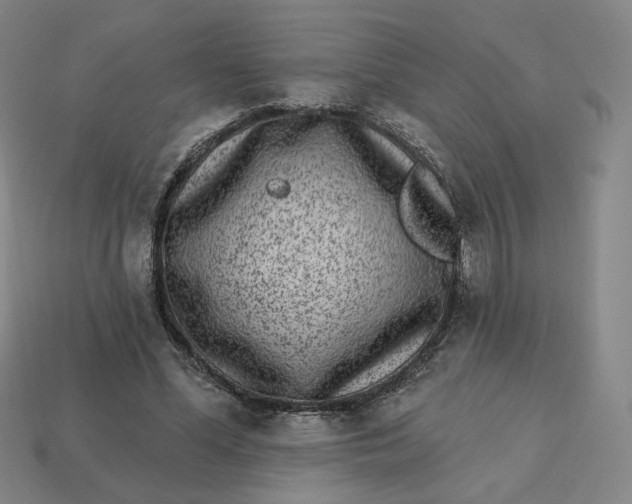 X0000113320588200910051127