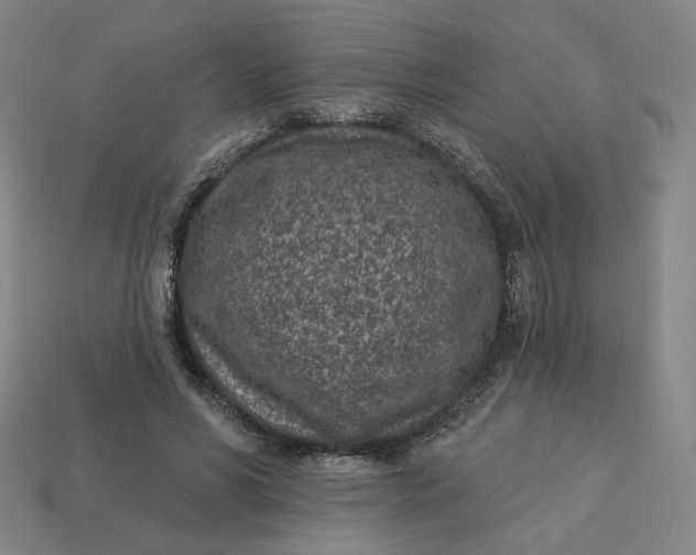 X0000113320590200910051127