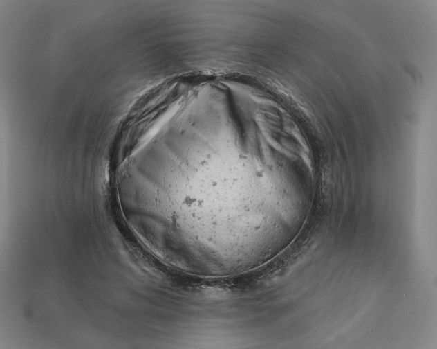 X0000113320592200910051127