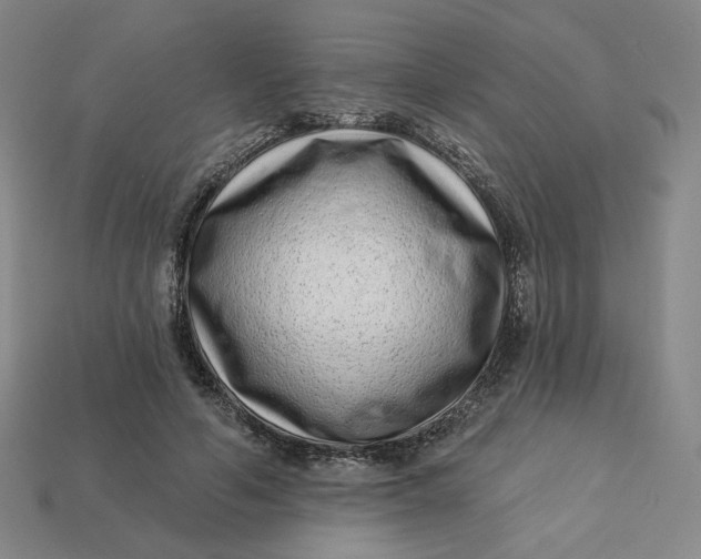 X0000113320594200910051127