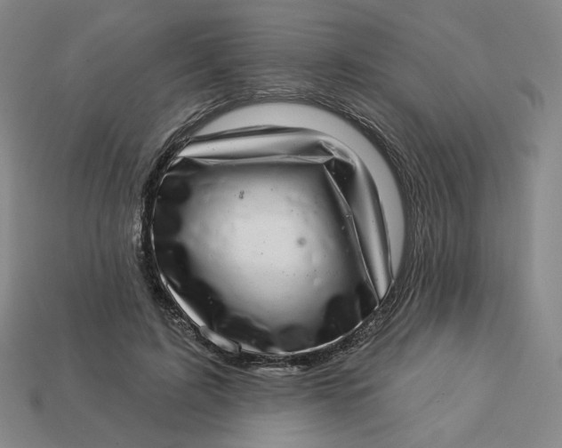 X0000113320595200910051127