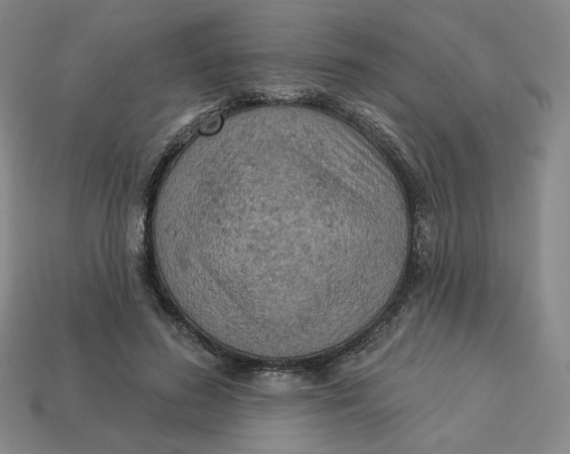 X0000113320596200910051127