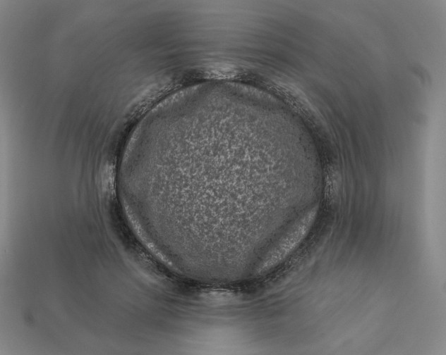 X0000113320598200910051127