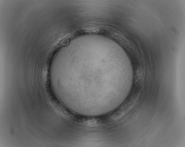 X0000113320600200910051127