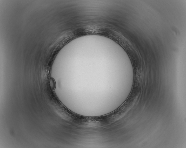 X0000113320601200910051127