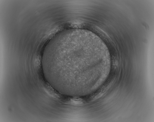 X0000113320603200910051127