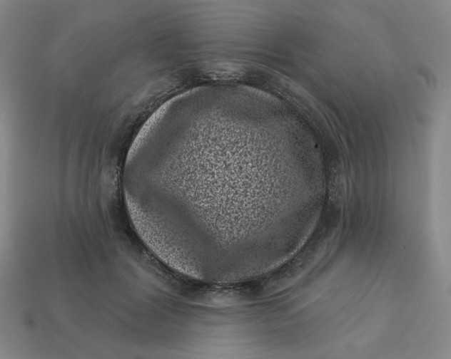 X0000113320604200910051127