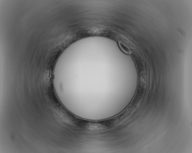 X0000113320605200910051127