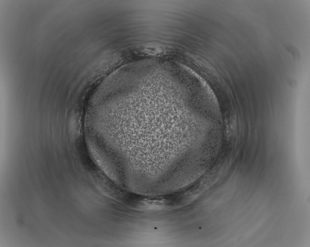 X0000113320606200910051127