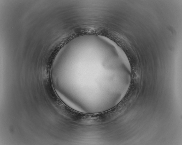 X0000113320607200910051127