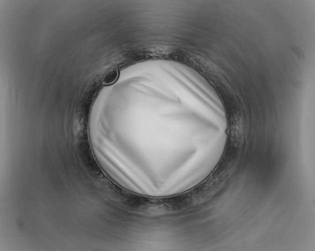 X0000113320608200910051127