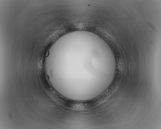 X0000113320611200910051127