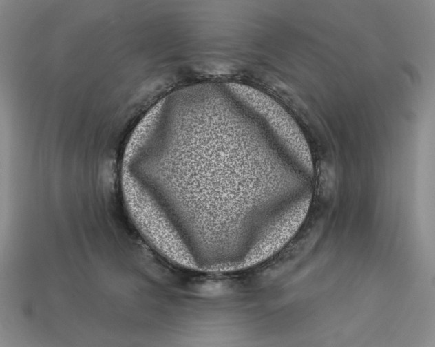 X0000113320612200910051126