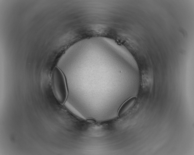 X0000113320613200910051126