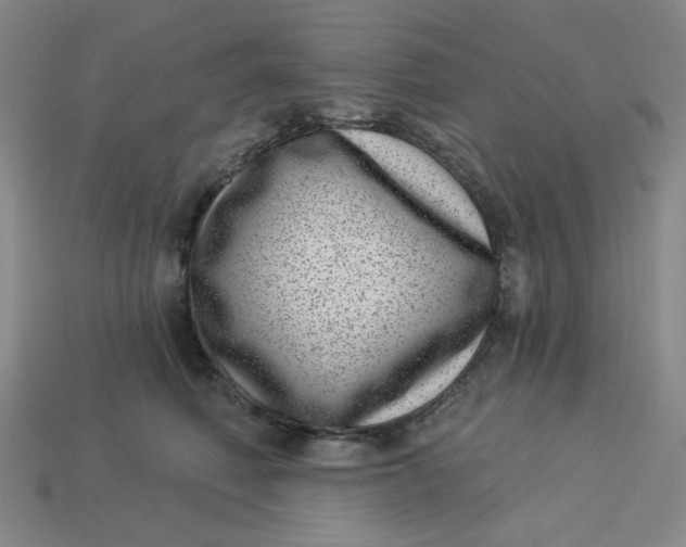 X0000113320614200910051126