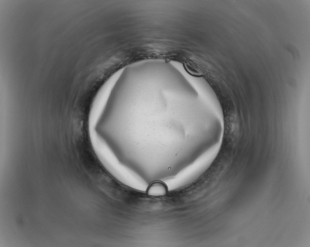 X0000113320615200910051126