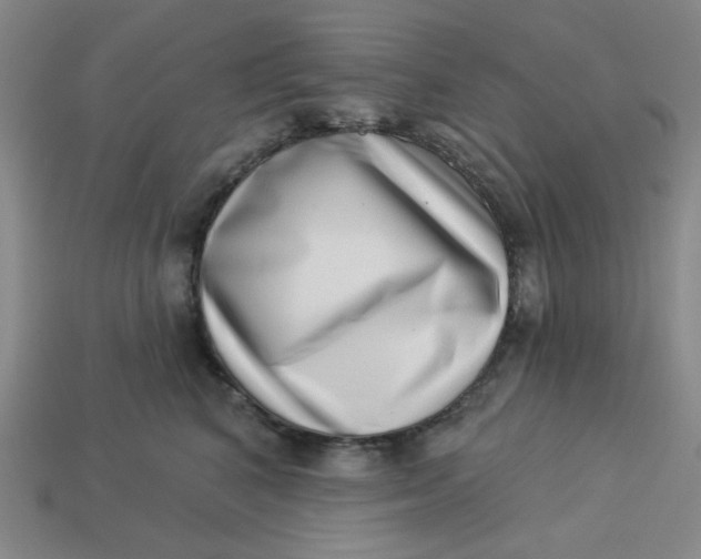 X0000113320616200910051126