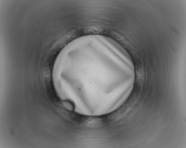 X0000113320617200910051126