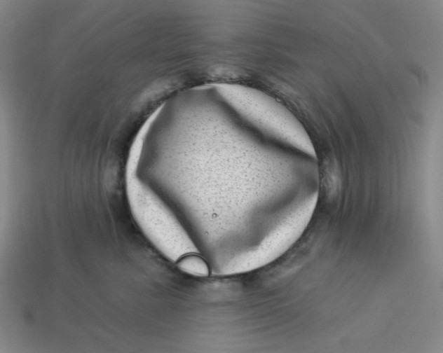 X0000113320619200910051126