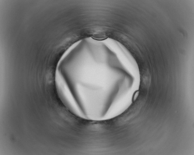 X0000113320620200910051126