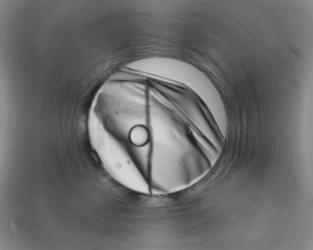 X0000113320621200910051126