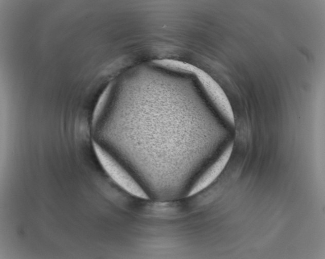 X0000113320622200910051126