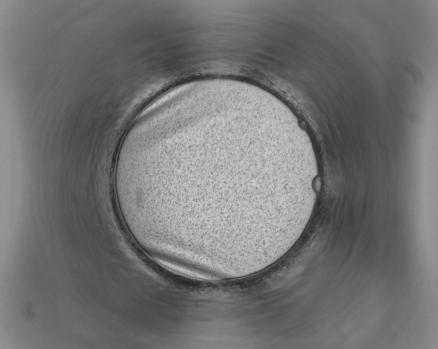 X0000113320625200910051126