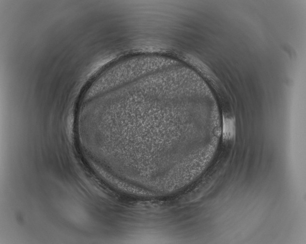 X0000113320627200910051126