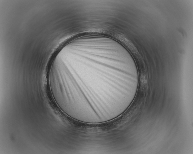 X0000113320628200910051126